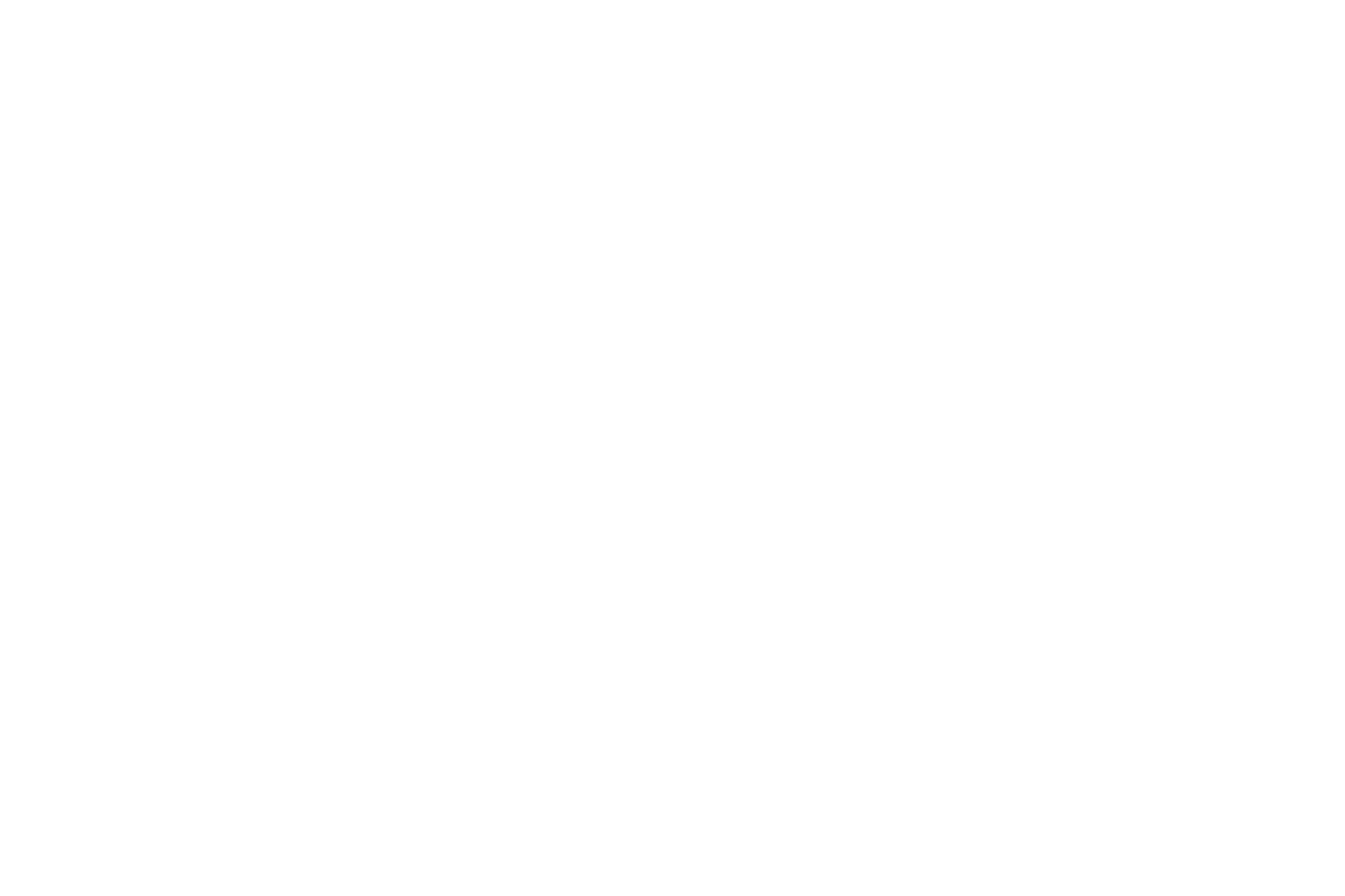 Team Bison Logo